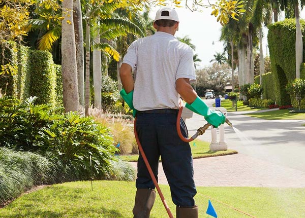 About Saint Jacob IL Pest Control